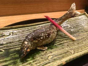 Japanese Cuisine Tagetsu 2
